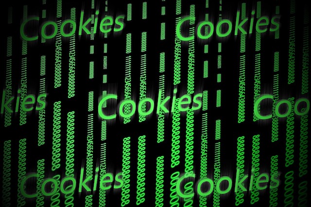 Evropský soud zpřísnil pravidla pro ukládání cookies