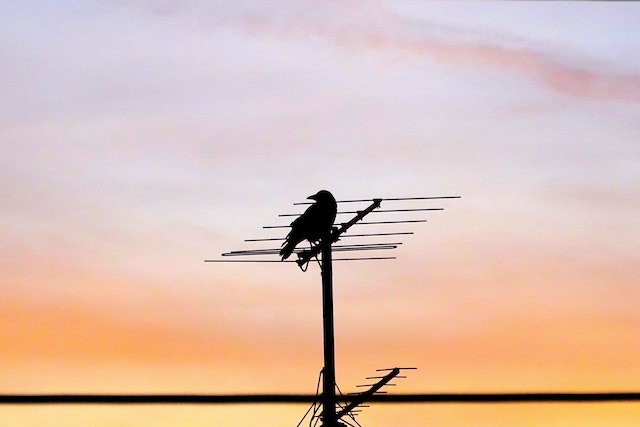 Přechod na DVB-T2 by mohl být obnoven v červenci