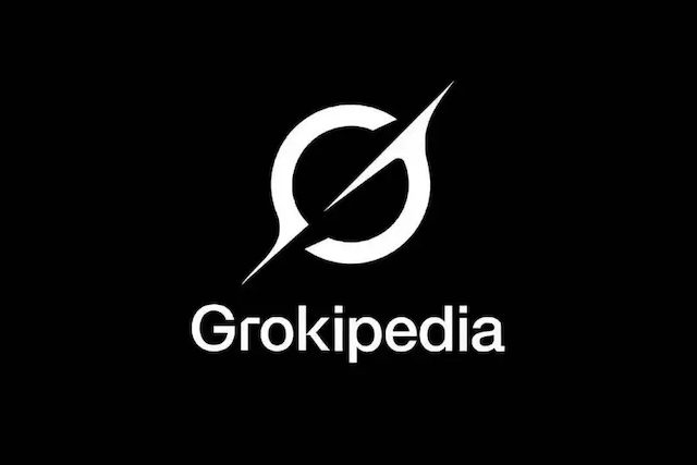 Grokipedia Elona Muska cituje neonacistické, krajně pravicové a dezinformační weby